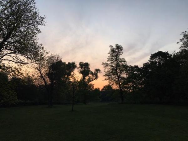 Dawn Chorus (with&nbsp;audio)